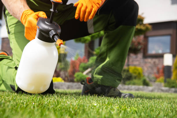 Best Emergency Pest Control  in Michigan City, IN
