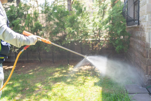Best Flea Control Services  in Michigan City, IN