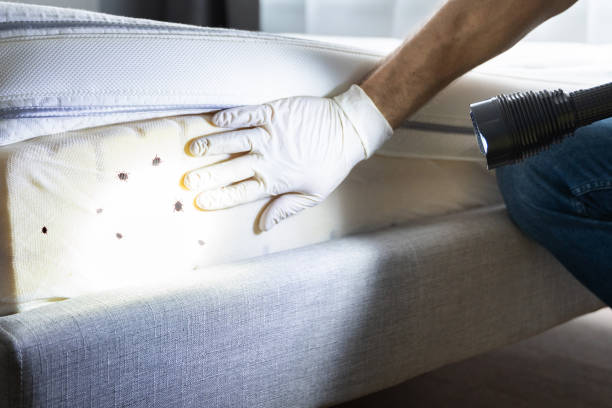 Best Wildlife Control Services  in Michigan City, IN