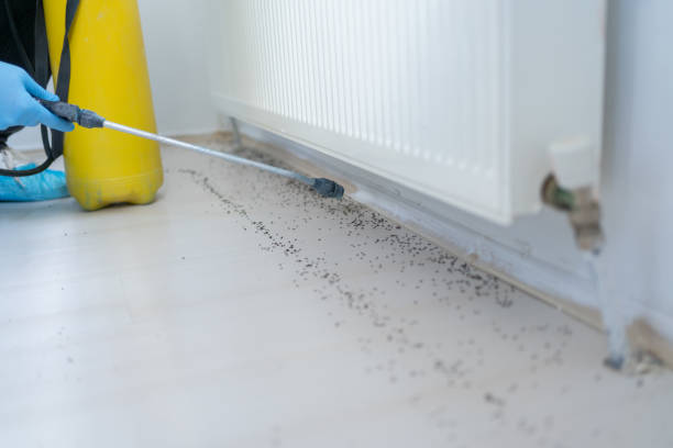 Best Spider Control Near Me  in Michigan City, IN