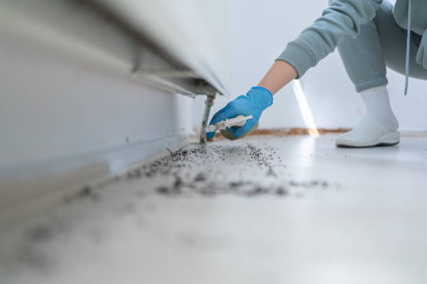Best Ant Control Services  in Michigan City, IN